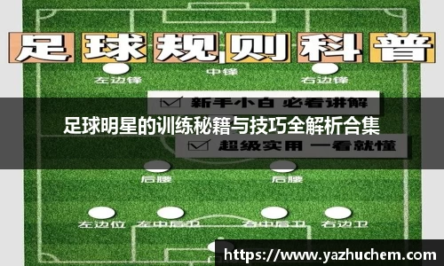 伟德bv国际