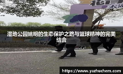 伟德bv国际
