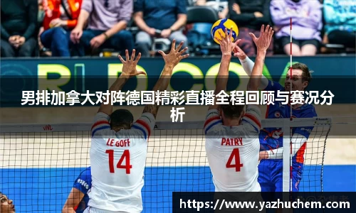 伟德bv国际