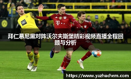 伟德bv国际体育