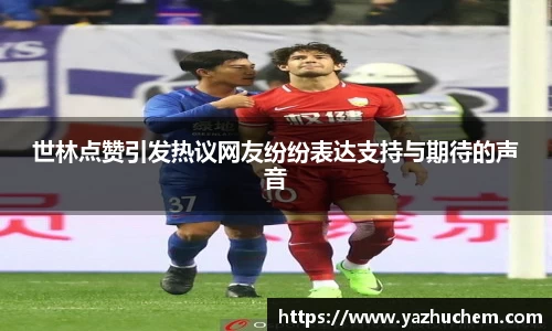 伟德bv国际体育