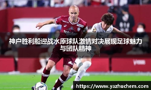 伟德bv国际体育